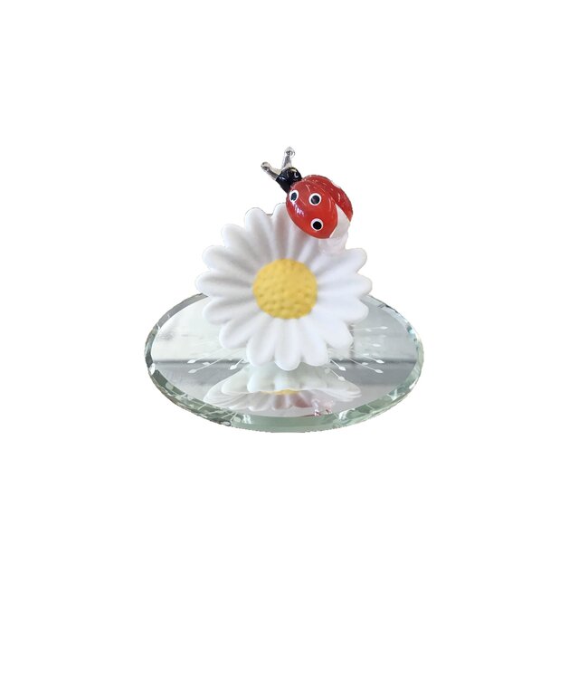 Glass Baron Daisybug