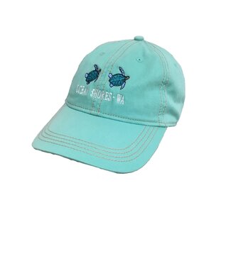 Lone Rock Clothing Hat Turtle Embroidery