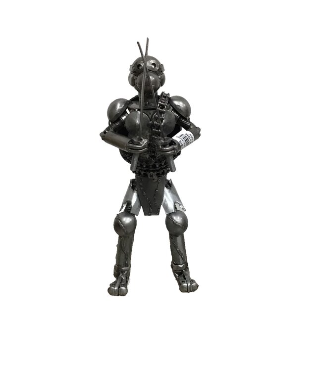Ninja Turtle Leonardo