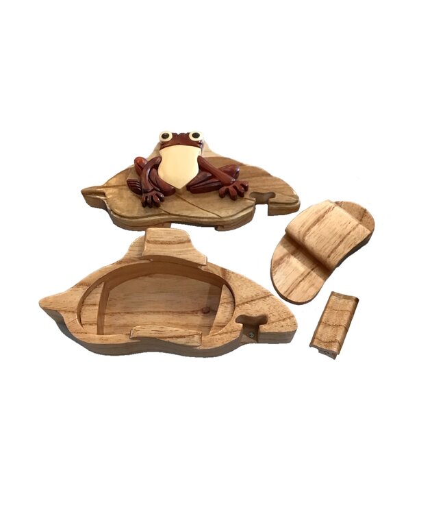 Puzzle Box Frog on Lily Pad