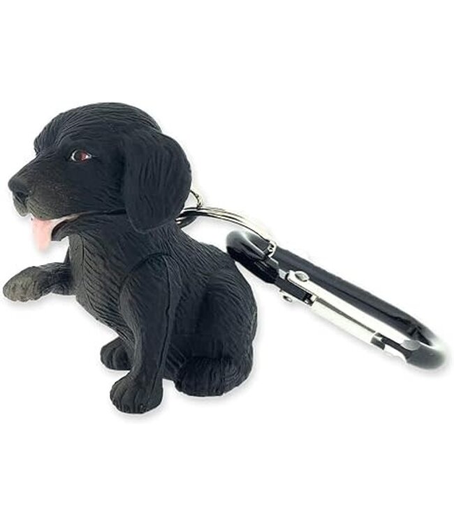 Wildlight Dog Black Labrador