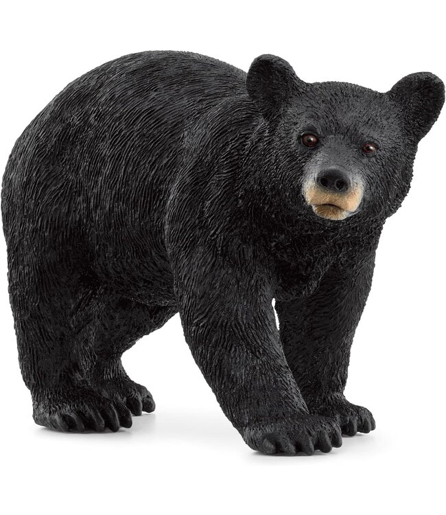 Schleich American Black Bear