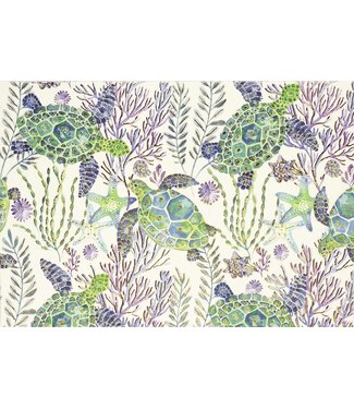 Peter Pauper Press Note Card Sea Turtles