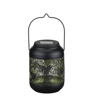 Regal Shadow Lantern SM Hummingbird