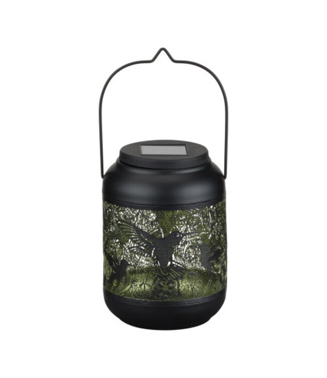 Regal Shadow Lantern SM Hummingbird