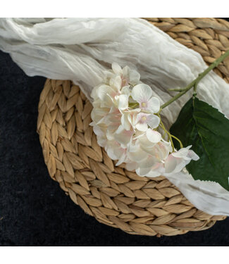 Ragon House 14Inch CREAM And PINK HYDRANGEA PICK