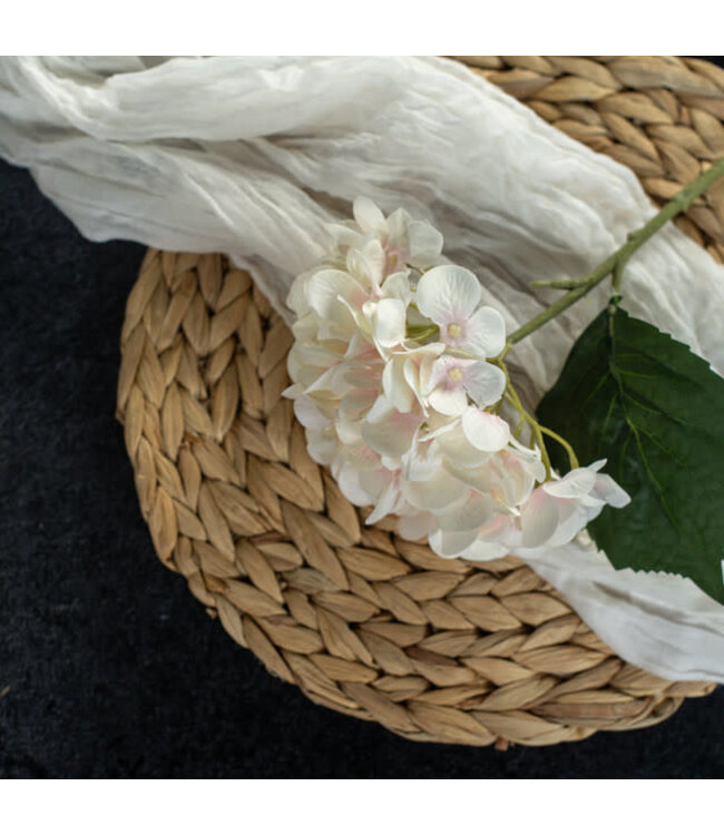 Ragon House 14Inch CREAM And PINK HYDRANGEA PICK