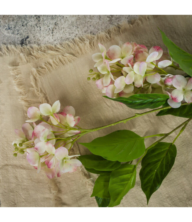 Ragon House 29Inch CREAM And PINK CONE HYDRANGEA SPRAY