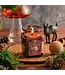 Northern Lights Candles Burdock And Moss Curiosity Candle 6oz