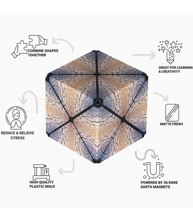 Fun In Motion Toys DUO03PD Duomoto Parched