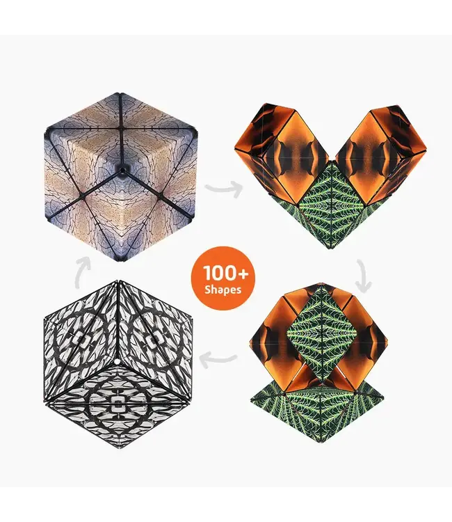 Fun In Motion Toys DUO03PD Duomoto Parched