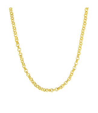 Amanda Blu Add A Charm Cable Chain Necklace - Gold