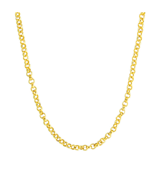 Amanda Blu Add A Charm Cable Chain Necklace - Gold
