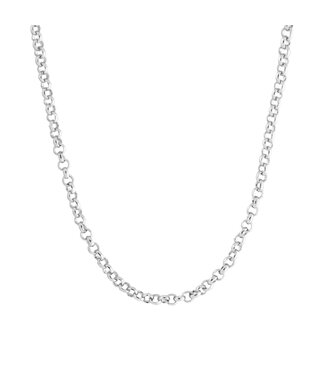 Amanda Blu Add A Charm Cable Chain Necklace - Silver