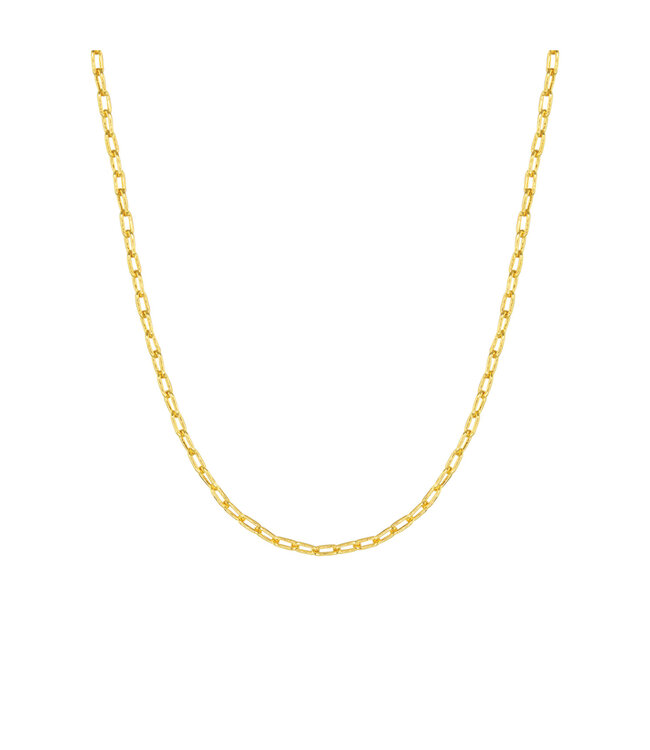 Amanda Blu Add A Charm Paperclip Chain Necklace - Gold