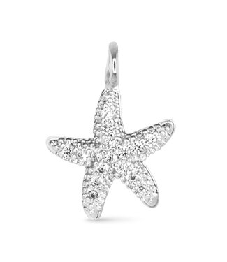 Amanda Blu CZ Starfish Charm - Silver