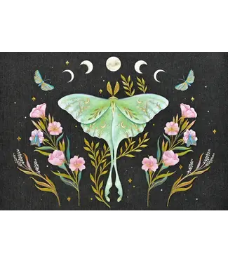 Peter Pauper Press Note Card Luna Moth