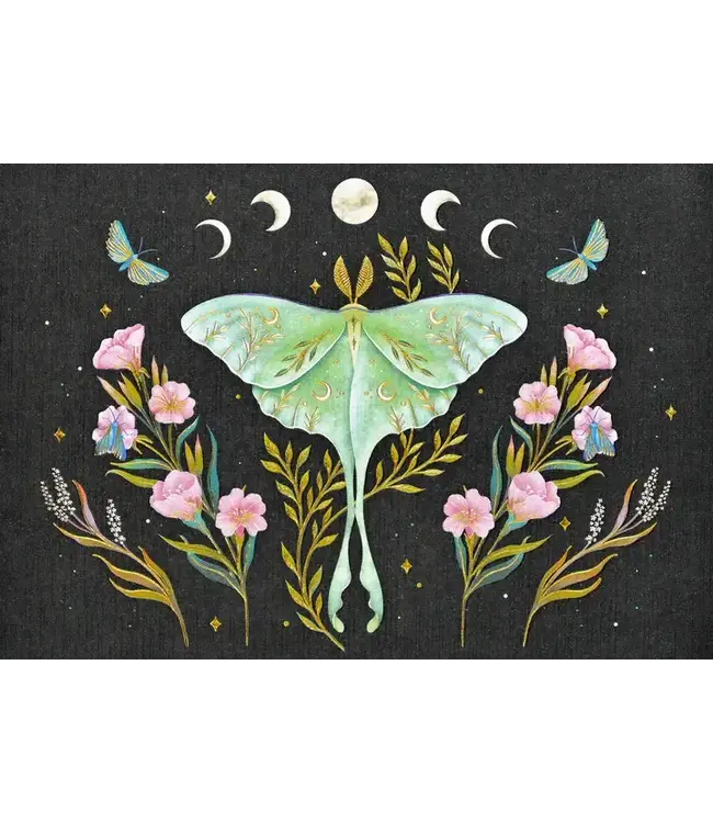 Peter Pauper Press Note Card Luna Moth