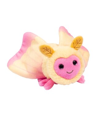 Douglas Company ROSY MAPLE MOTH