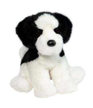 Douglas Company Teefer SHIH TZU