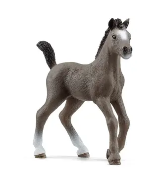 Schleich Cheval de Selle Fr. foal