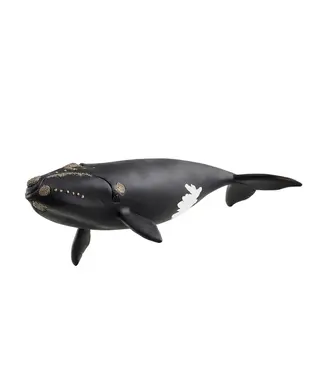 Schleich North Atlantic Right Whale