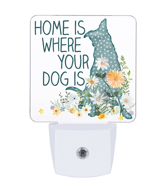 Carson NIGHTLIGHT-DOG IS