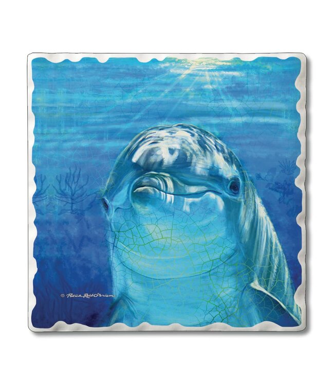 Highland Home Dolphin Smile 4 Pack Single Image Coaster SQ