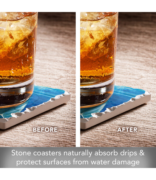 Highland Home Dolphin Smile 4 Pack Single Image Coaster SQ