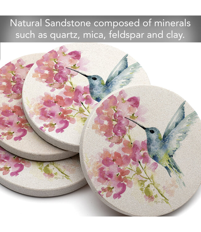 Highland Home Hummingbird Watercolor 4 PK Sandstone Coaster Sets