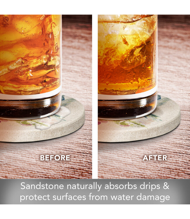 Highland Home Hummingbird Watercolor 4 PK Sandstone Coaster Sets