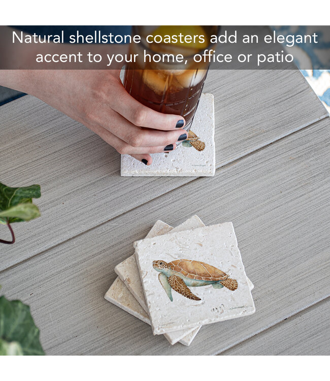 Highland Home Sea Turtle 4 Pk Shell Coaster Square