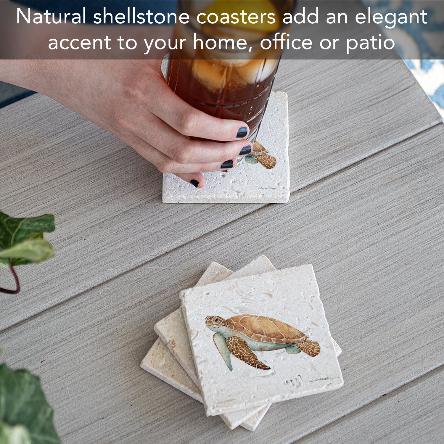 Shell Caoster Highland Home Sea Turtle 4 Pk Shell Coaster Square - Breazy Beach