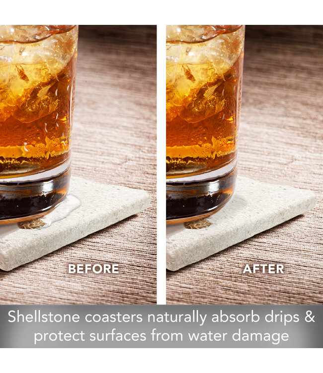 Highland Home Sea Turtle 4 Pk Shell Coaster Square