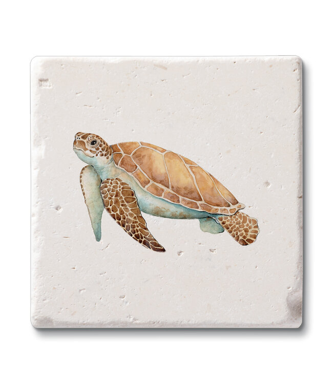 Highland Home Sea Turtle 4 Pk Shell Coaster Square