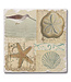 Highland Home Shell Collage 4 Pack Single Image Coaster SQ