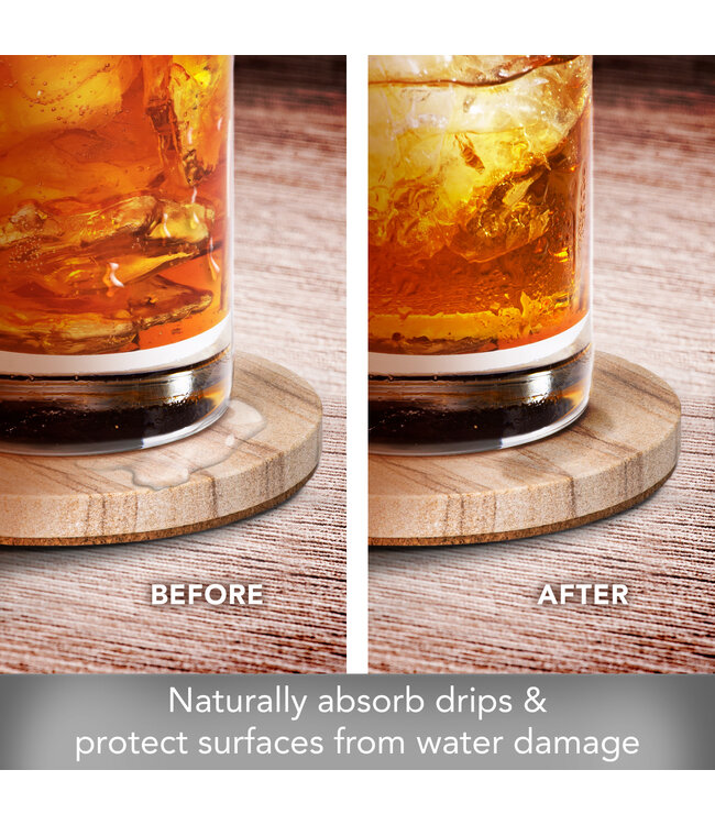 Highland Home Thirstystone Picture Sandstone Coaster Set