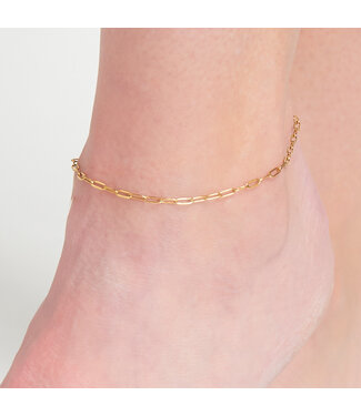 Howards Dainty Paper Clip Chain Anklet Gold Linch