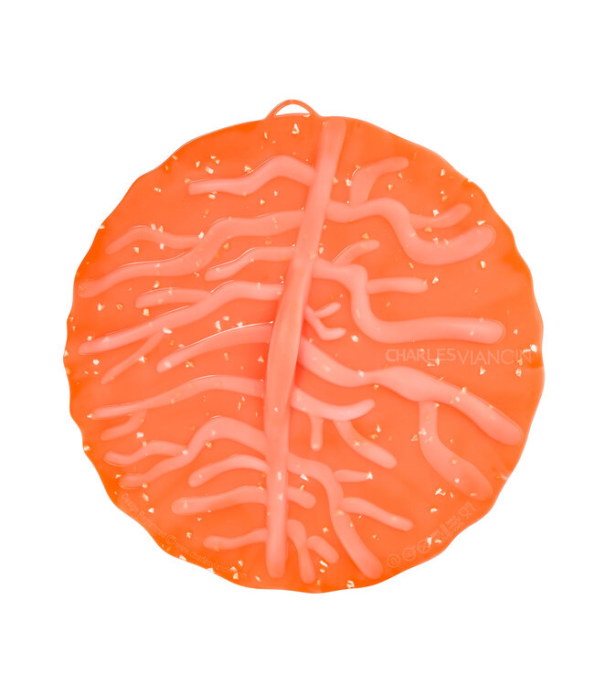 Charles Viancin Coral Lid 11"
