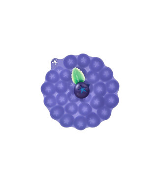 Charles Viancin Blueberry Lid 6"