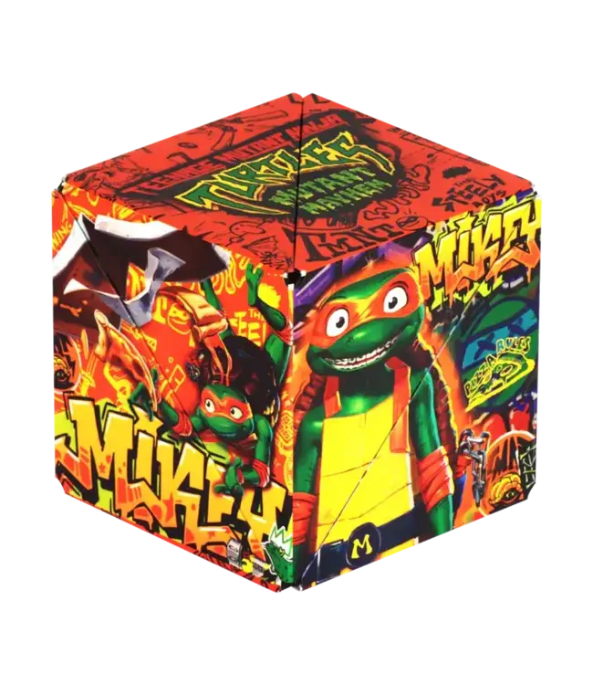 Fun In Motion Toys Paramount Shashibo TMNT SB AVatar Mikey