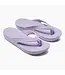 Joybees LLC Womens Varsity Flip Flop Pastel Lilac
