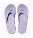 Joybees LLC Womens Varsity Flip Flop Pastel Lilac