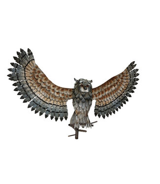Regal Owl Wall Decor Wings Up