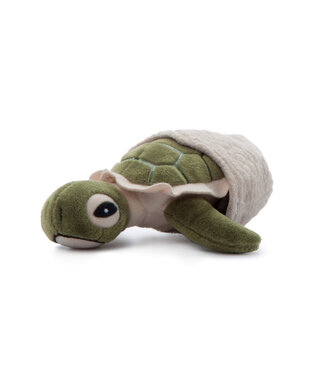 The Petting Zoo 5inch Hatchling Turtle and Min Shell