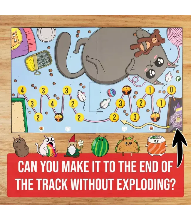 Asmodee Exploding Kittens Board Game