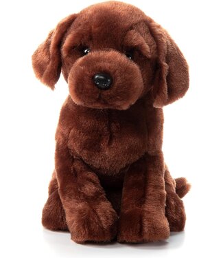 The Petting Zoo Lab Chocolate 12"