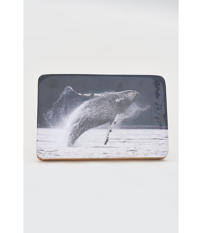 Batela USA Inc Whale Enameled Image On Wood 7.9x1.1