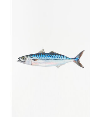 Batela USA Inc Tuna Wall Decor Handpainted Wood Blues 19.7x5.9