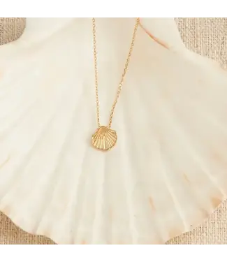 Howards Shell Pendant Necklace Gold 16"